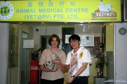 Our Friends - Animal Medical Centre (VET@RV) Pte Ltd.